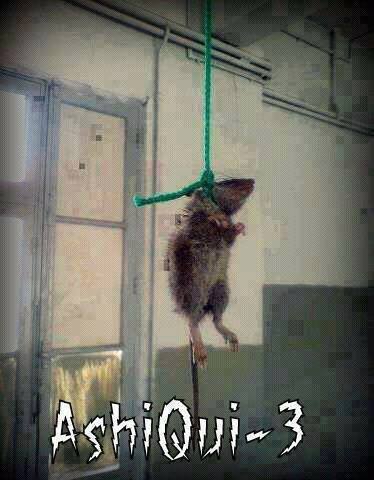 funny pic to rat hanged