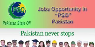 pso jobs 2015 form download