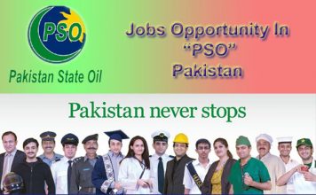 pso jobs 2015 form download