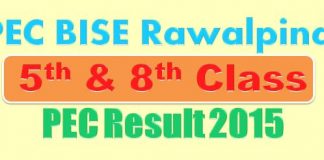 Online 8th Class Result 2015 Punjab Examination Commission