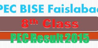 Bise Faisalabad Board 8th Class Result 2015 Chiniot Jhang