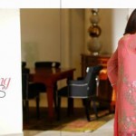 Chiffon-Embroidery-Collection-2016-2017-By-Al-Wahab-Fabrics-webstudy.pk