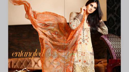 Barasti-Pure-Chiffon-Embroidery-Collection-2016-2017-By-Al-Wahab-Fabrics-webstudy.pk
