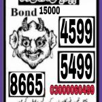 Prize Bond 750 Guess Papers (6)