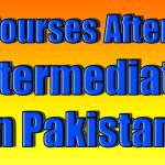 courses after intermediate in pakistan