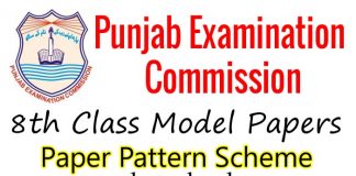 pec 8th class model papers