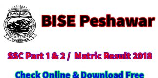 bise peshawar matric result 2018 ssc part 1 online check