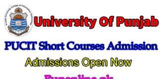 punjab university PUCIT short courses admissions 2018