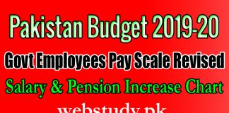 budget 2019 govt employees pay scale revised salary increase