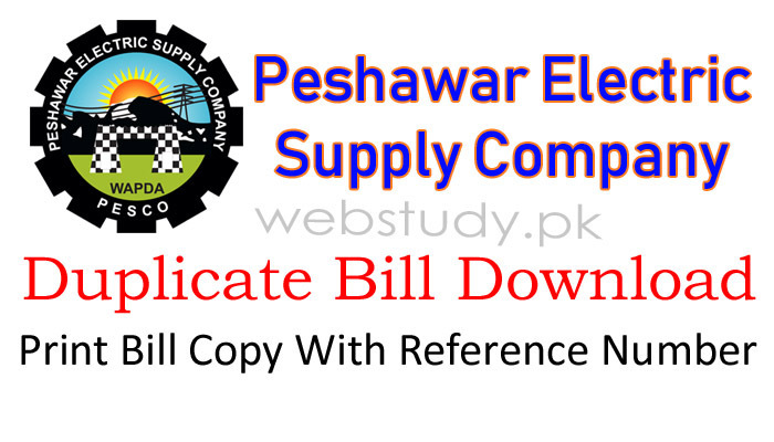 Pesco Electricity Duplicate Bill Copy Print Online Webstudy