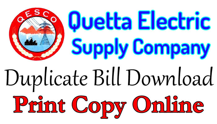 qesco duplicate bill print online