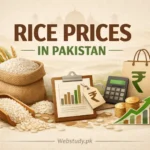 Rice price visual with grain icons and market price design elements